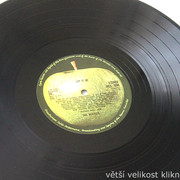 IMG-9841