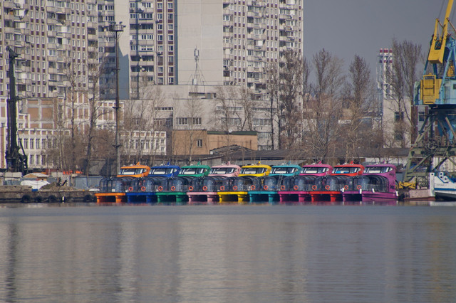DSC03484.jpg
