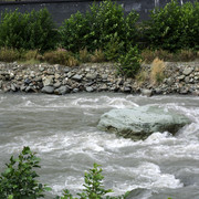 DSC7242