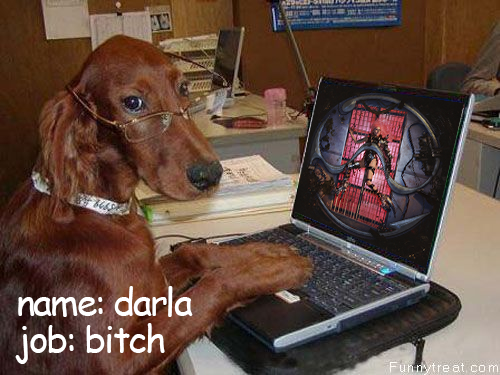 DARLA.png