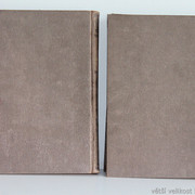 IMG-7395