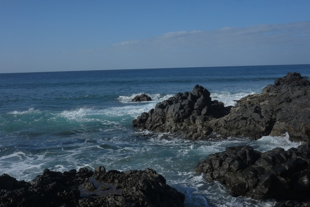 DSCF8391