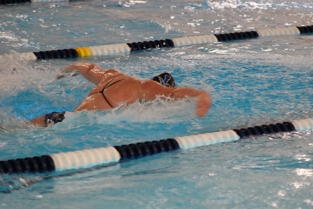 IMG-0293