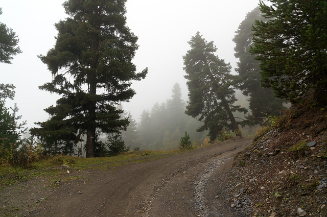 DSC00742.jpg