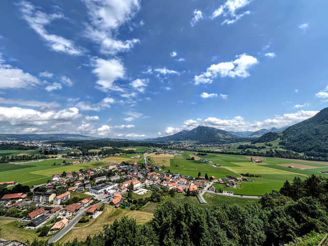 IMG-4753