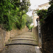 IMG-9782