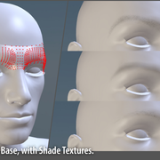 scalp-brows-preview
