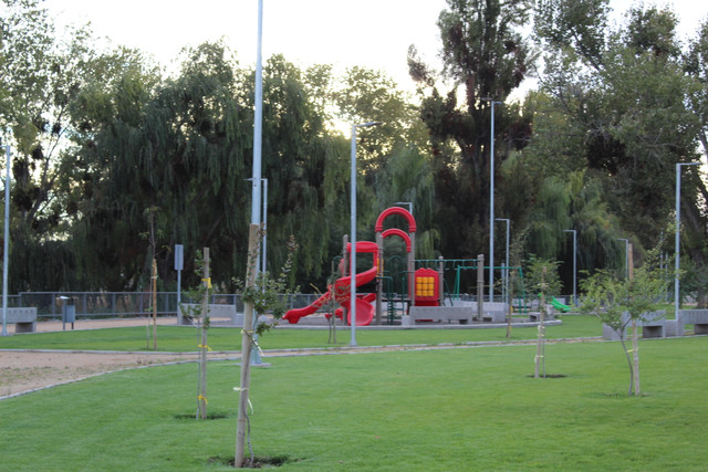 IMG-2529