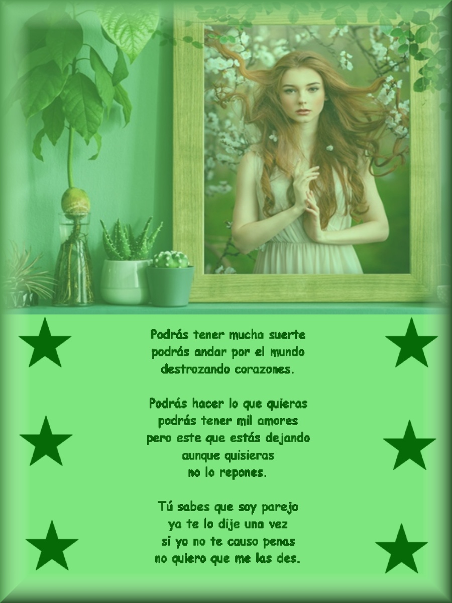 Imagen5verde
