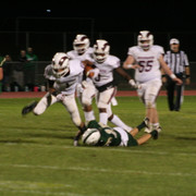 IMG-6779
