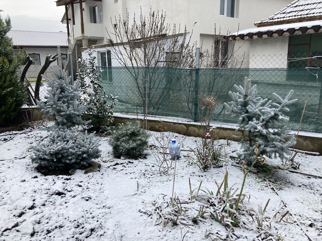 IMG-4405