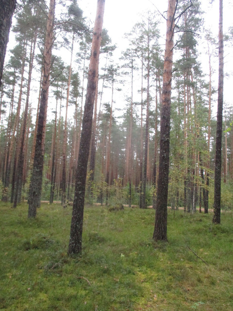 IMG-9658