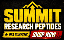 Summit PM banner