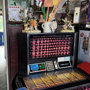 IMG 0255