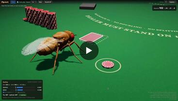 Fly playing a game