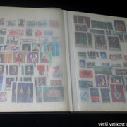IMG-2559