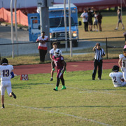 IMG-5240