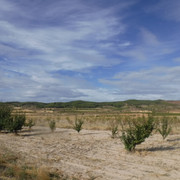DSCF6271