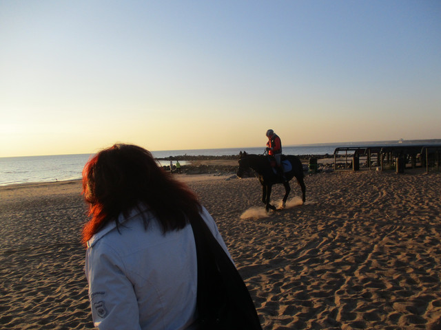 IMG-5701