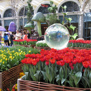 79800031-All-sizes-Spring-at-the-Bellagio-Flickr-Photo-Sharing