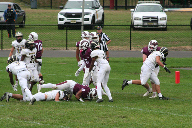 IMG-8186.jpg
