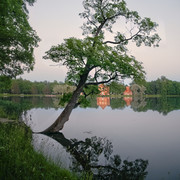 P1180591br