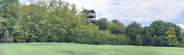 IMG 2369.jpg