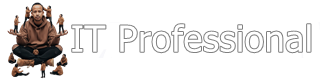 IT Professional