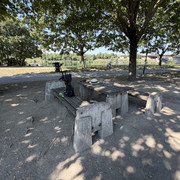 IMG 6253