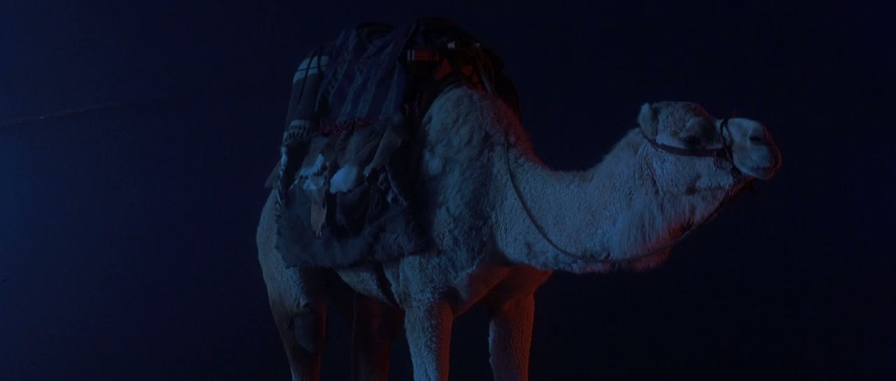 The Scorpion King Screenshot