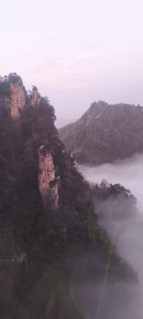 IMG20260409190824.jpg