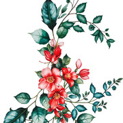 a7c5df404b24b65ee8e2f8101fa1b9f2