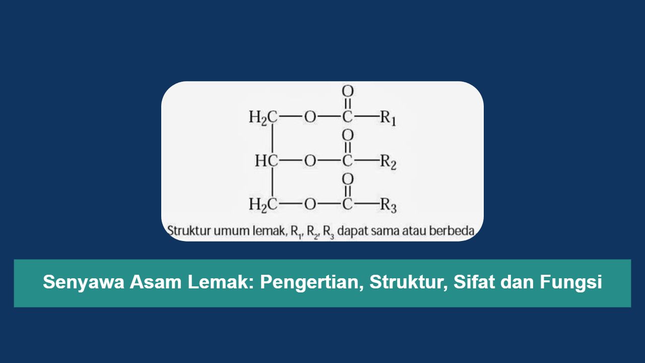 Senyawa Asam Lemak: Pengertian, Struktur, Sifat dan Fungsi