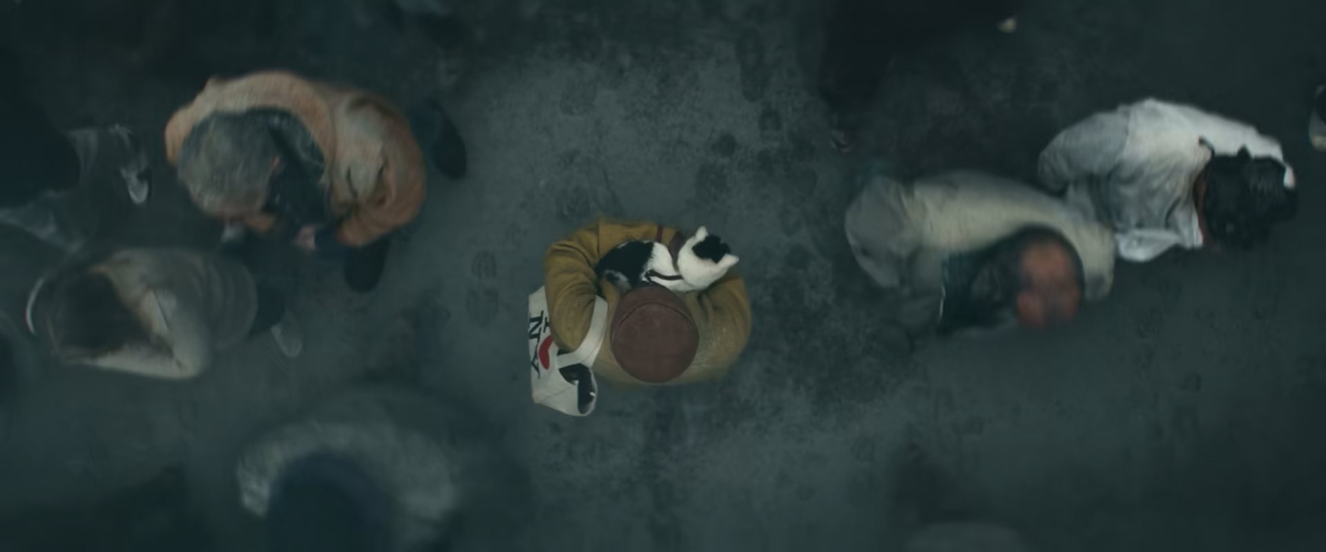 Movie cover image