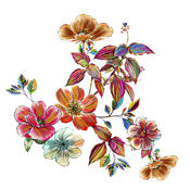 bfd6709bb01ffd1fa659b56f4eacd0c6
