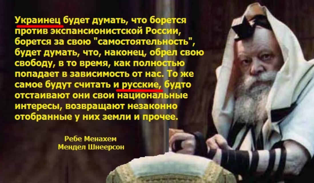 https://i.ibb.co/5x9q86JN/1abcadad.png