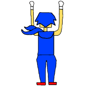 Sonic Falling
