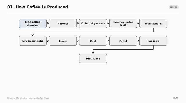 01 how coffee is produced.png