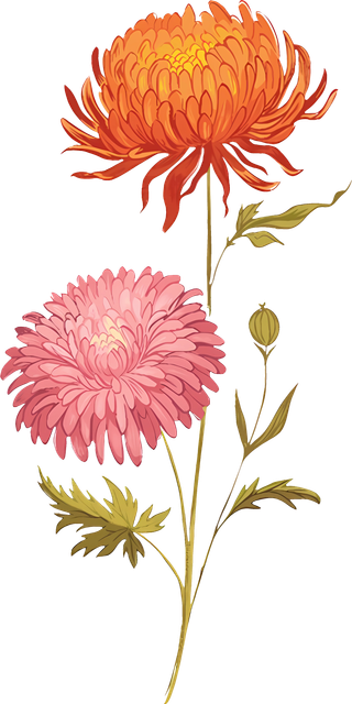 P 82.png