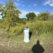 IMG-3335