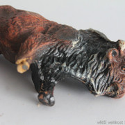 IMG-6645
