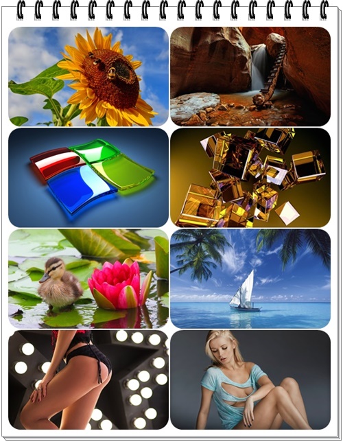 Wallpaper on each computer part 156