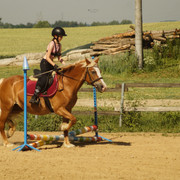 DSC03615