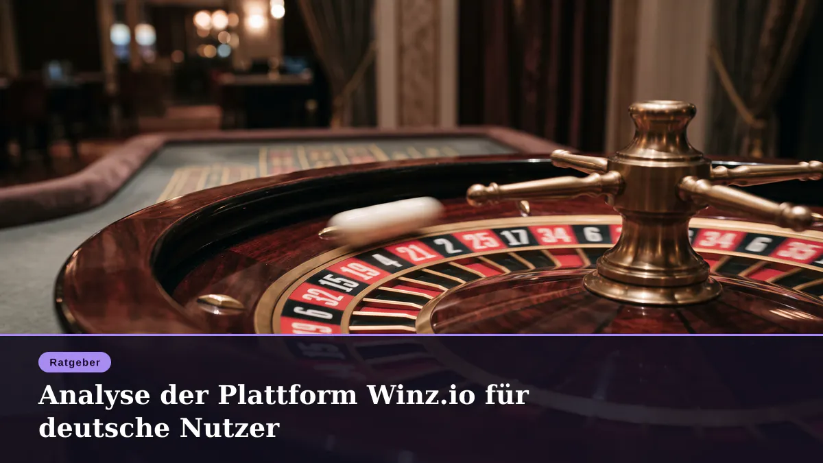 Analyse der Plattform Winz.io für deutsche Nutzer