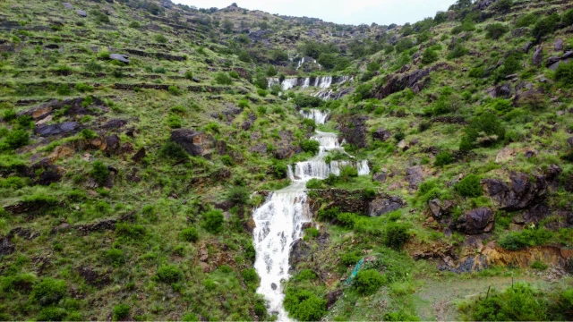 طبيعة الباحة الخضراء