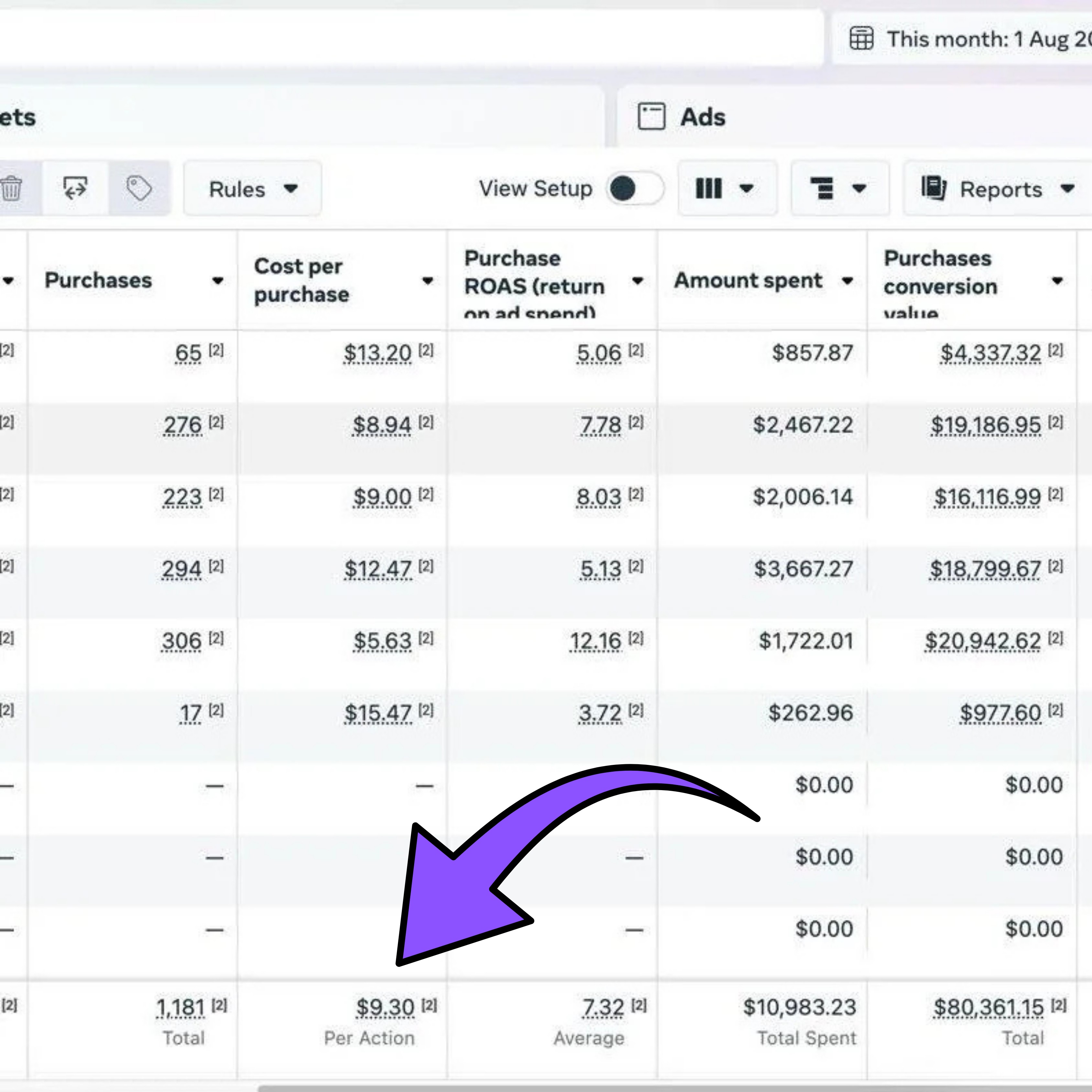 Meta Ads Dashboard Of SAAS Ad Campaign