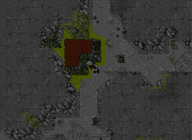 undergrt1