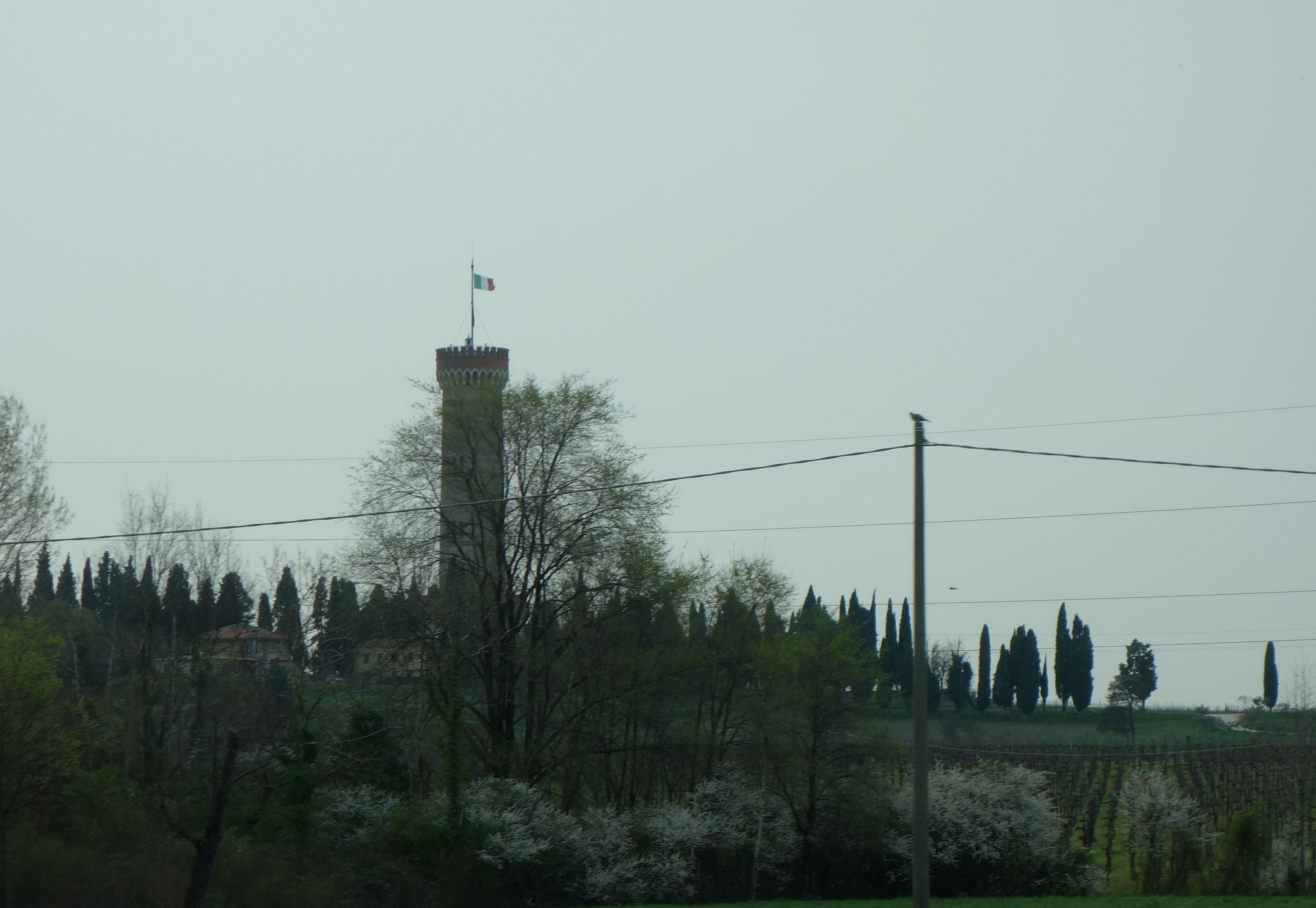 DSC04520
