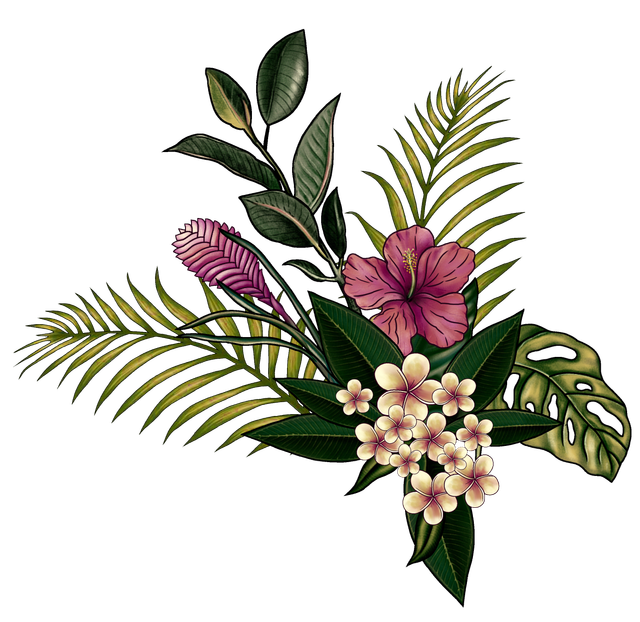png.png