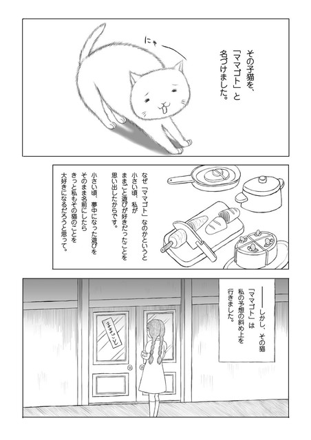 DLRAW-NET-00005